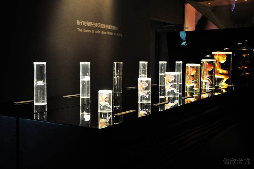 深圳博物館裝修設(shè)計