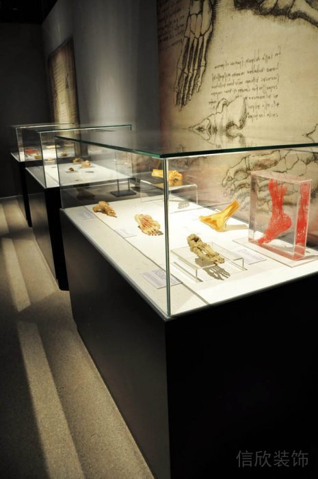 深圳博物館裝修設(shè)計