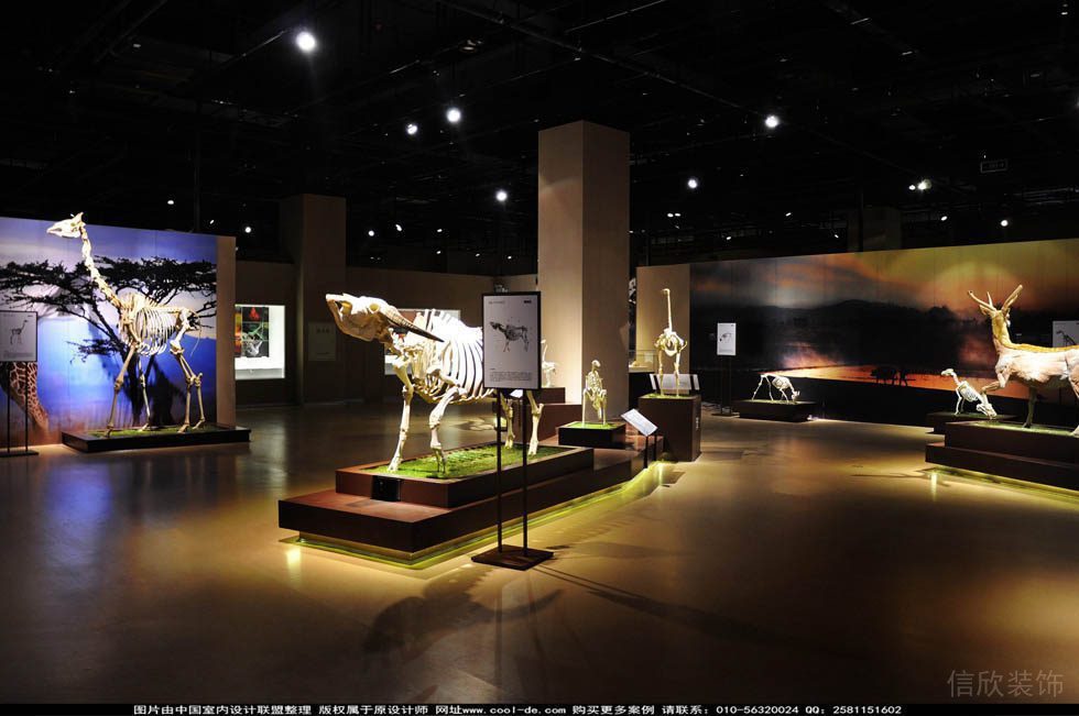 深圳博物館裝修設(shè)計
