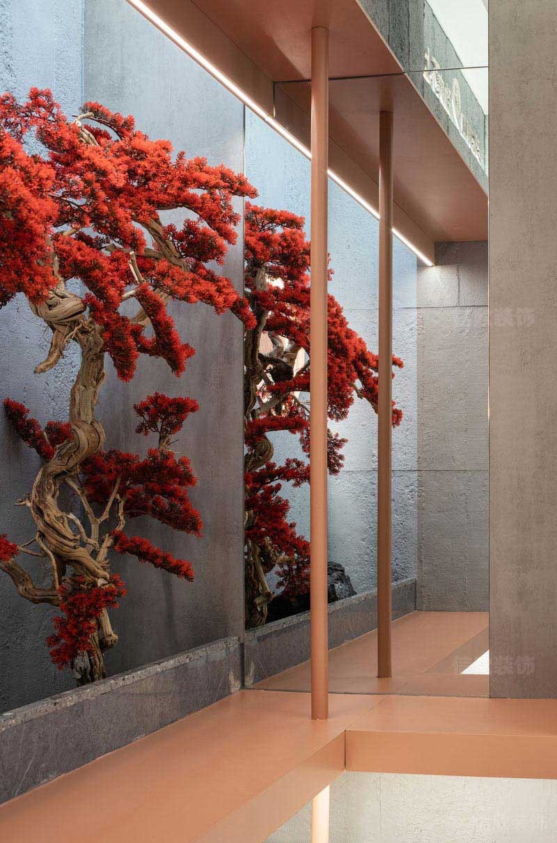 墻面紅色植物設(shè)計(jì)效果