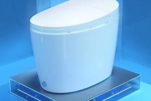 東鵬潔具智能馬桶產(chǎn)品效果圖1