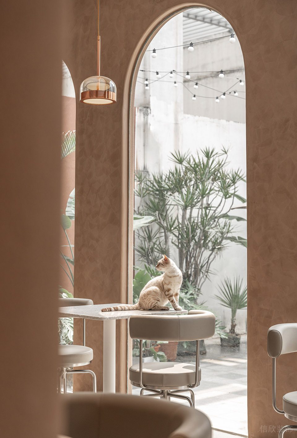 深圳市龍崗區(qū)橫崗有貓植說(shuō)寵物店裝修設(shè)計(jì) 休息區(qū)二 深圳市龍崗區(qū)橫崗有貓植說(shuō)寵物店裝修設(shè)計(jì) 休息區(qū)二