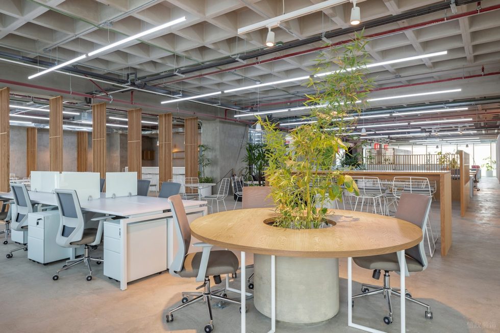 原木工業風辦公室裝修設計圓臺討論區 原木工業風辦公室裝修設計圓臺討論區