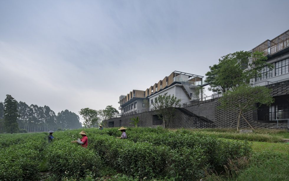 原生態(tài)雅致茶院設計裝修