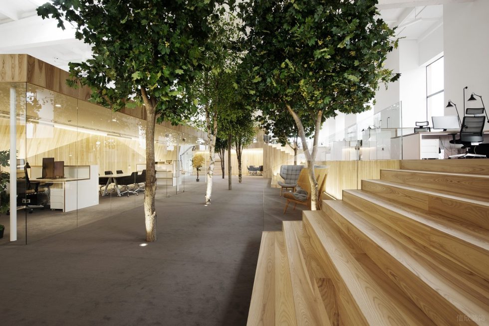 自然原木風(fēng)辦公室裝修設(shè)計(jì)淺木色辦公大廳