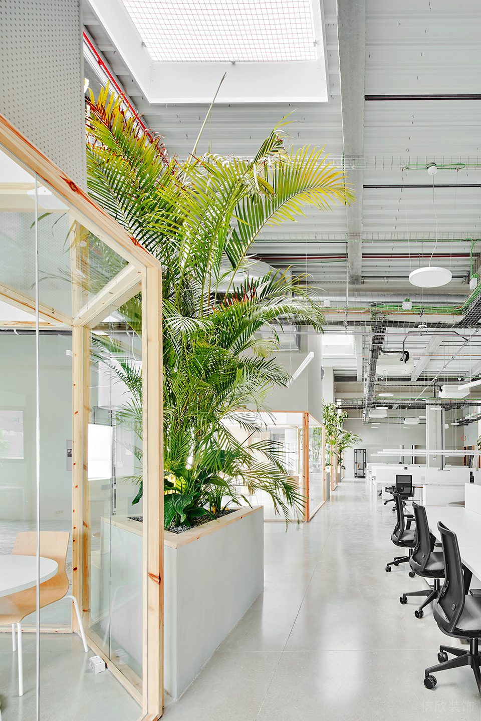 素木色簡(jiǎn)約自然風(fēng)辦公室裝修設(shè)計(jì)翠綠色裝飾植物 素木色簡(jiǎn)約自然風(fēng)辦公室裝修設(shè)計(jì)翠綠色裝飾植物